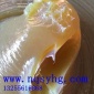 天工 15kg 16L 桶装 通用 3号锂基脂 润滑脂